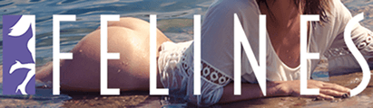 Banner 3